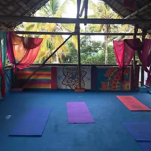 Mk Gardens Surf & Yoga House 3*, Varkala India